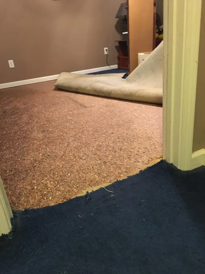 Carpet pad removal revealing water damage during Water Mitigation Services in Primera