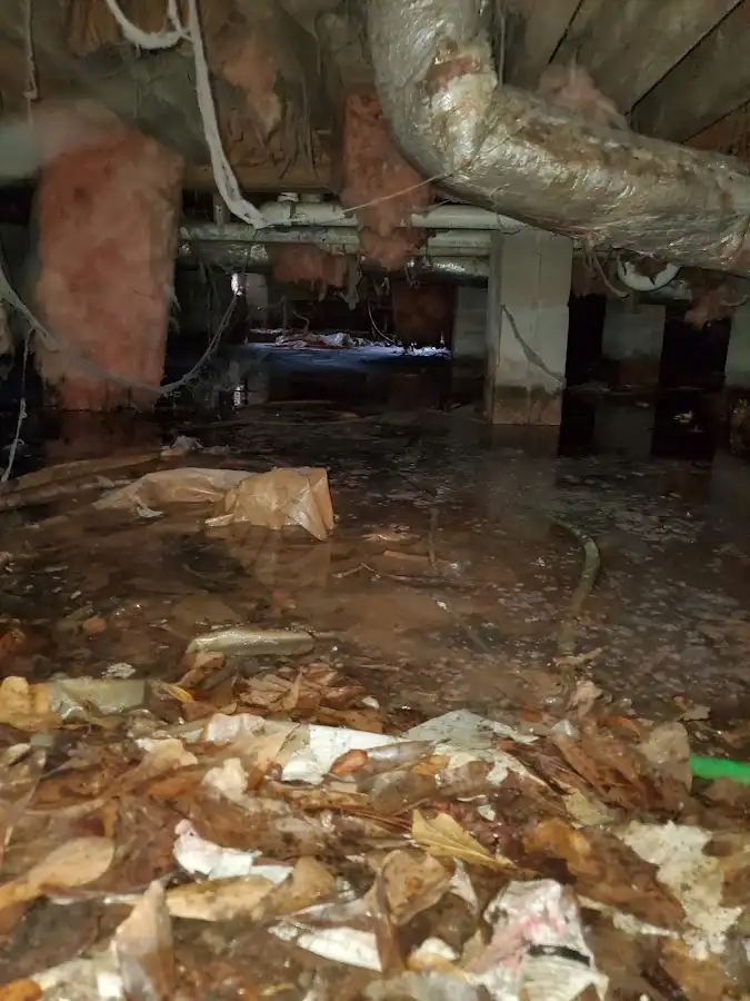 Crawl space flood assessment for Leak Detection & Repair in Primera