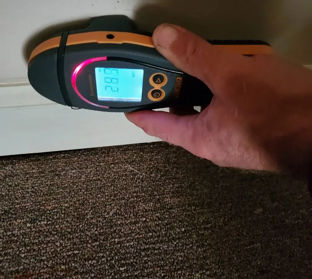 Moisture detection at baseboard during Burst Pipe Cleanup in Primera